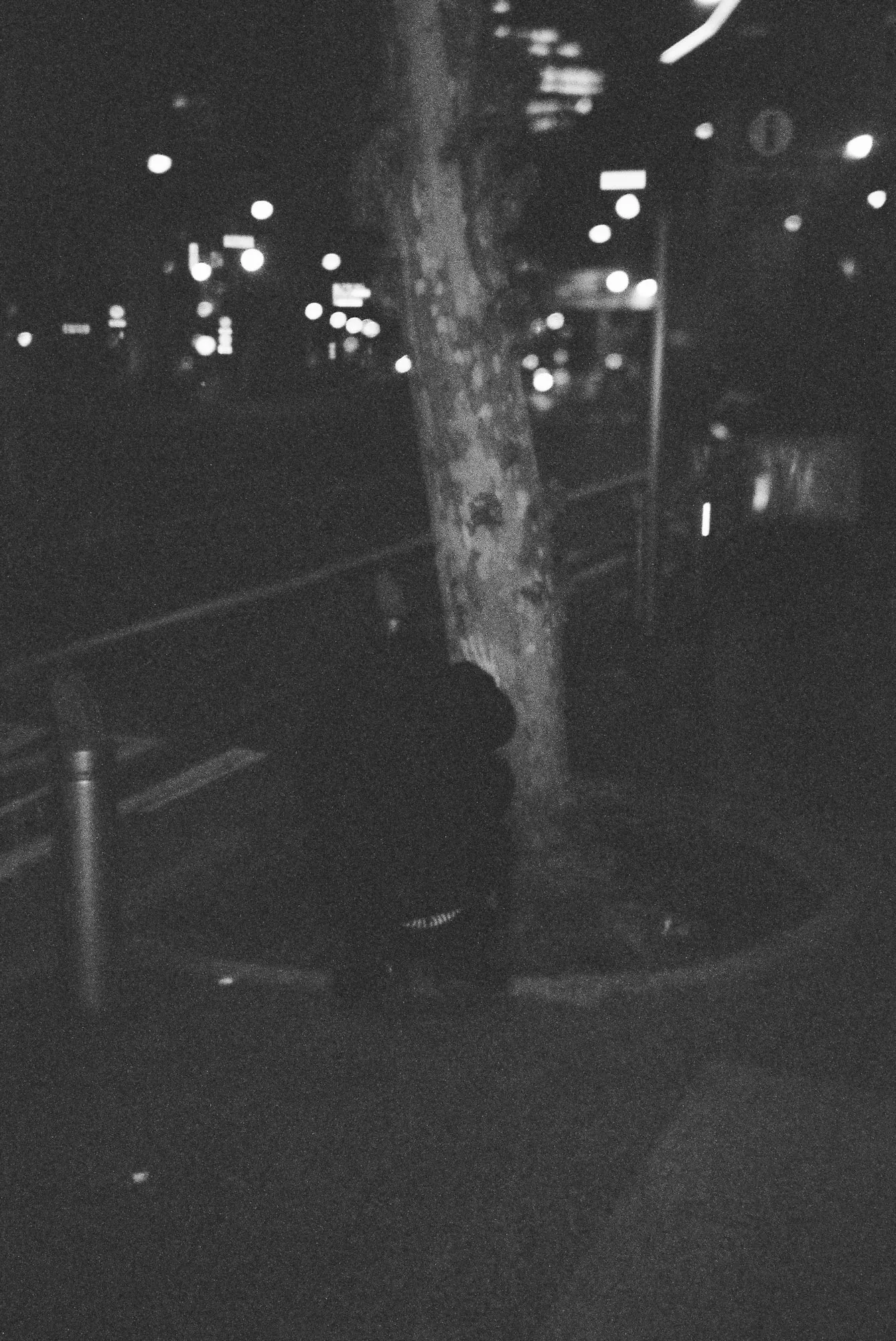 2023, photo 11
