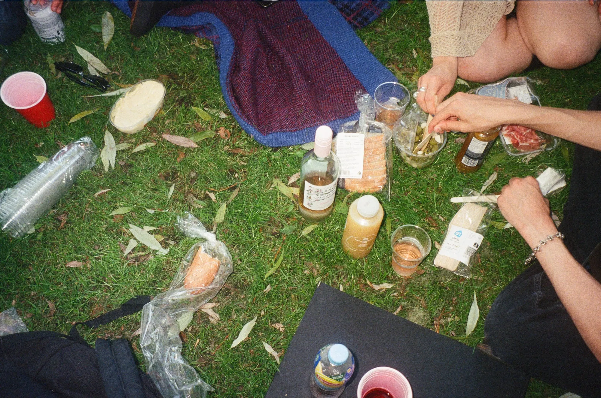 2023, photo 13