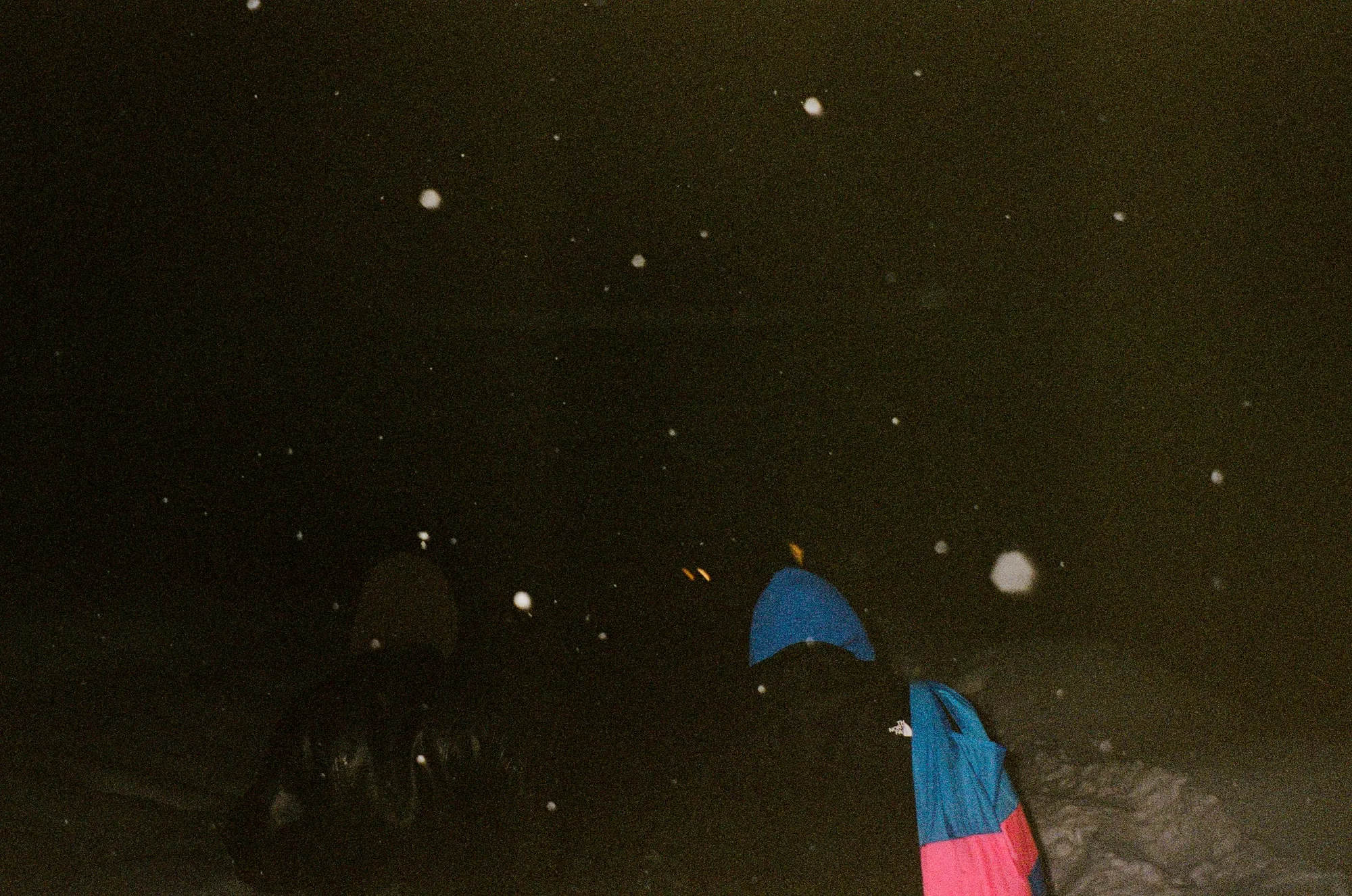 2025, photo 4
