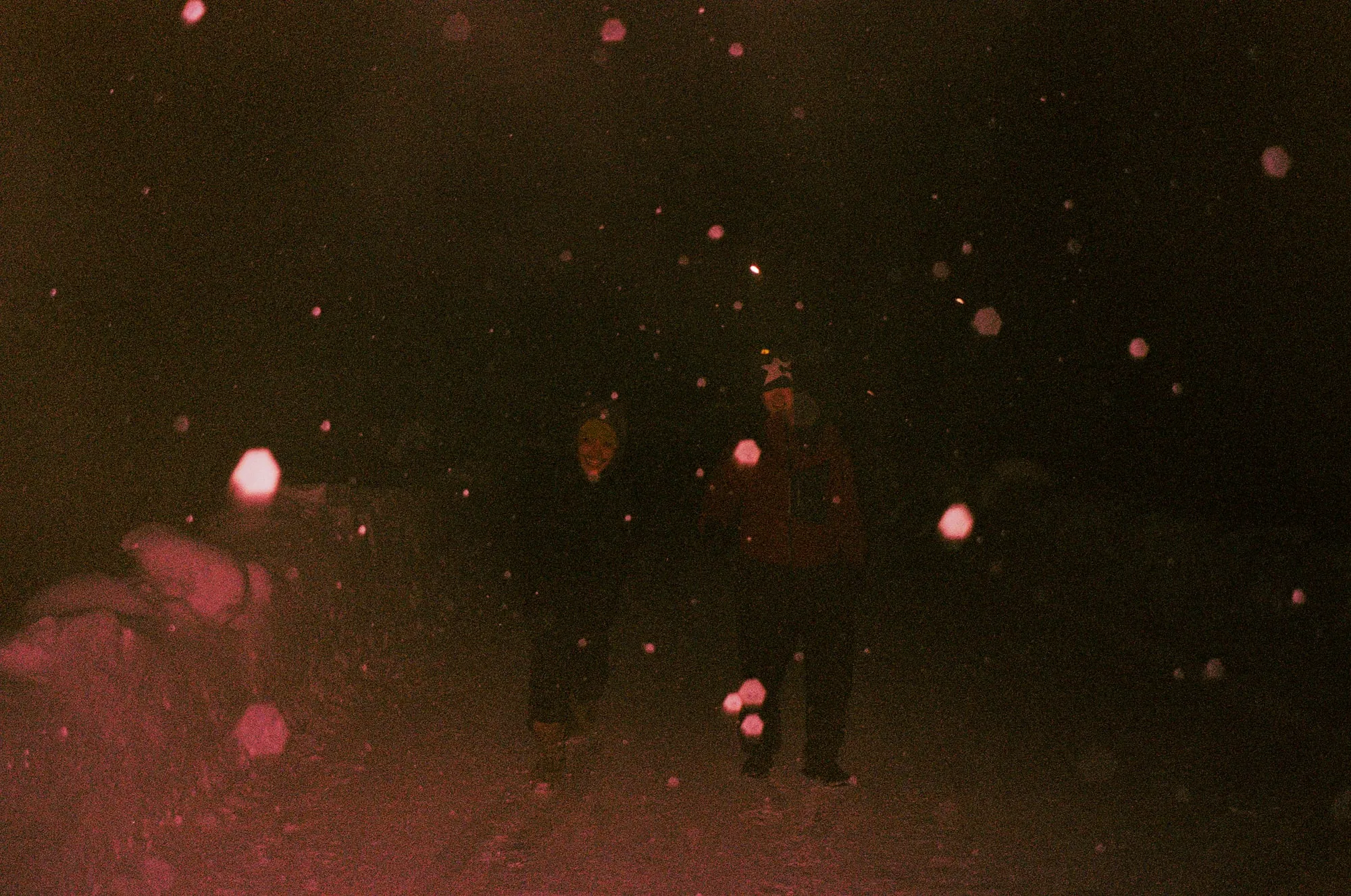 2025, photo 15