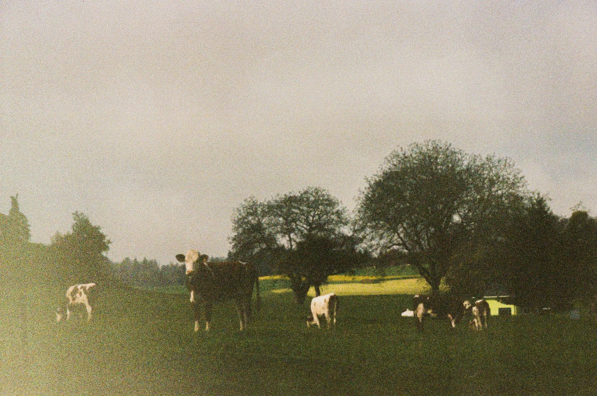 2024, photo 8