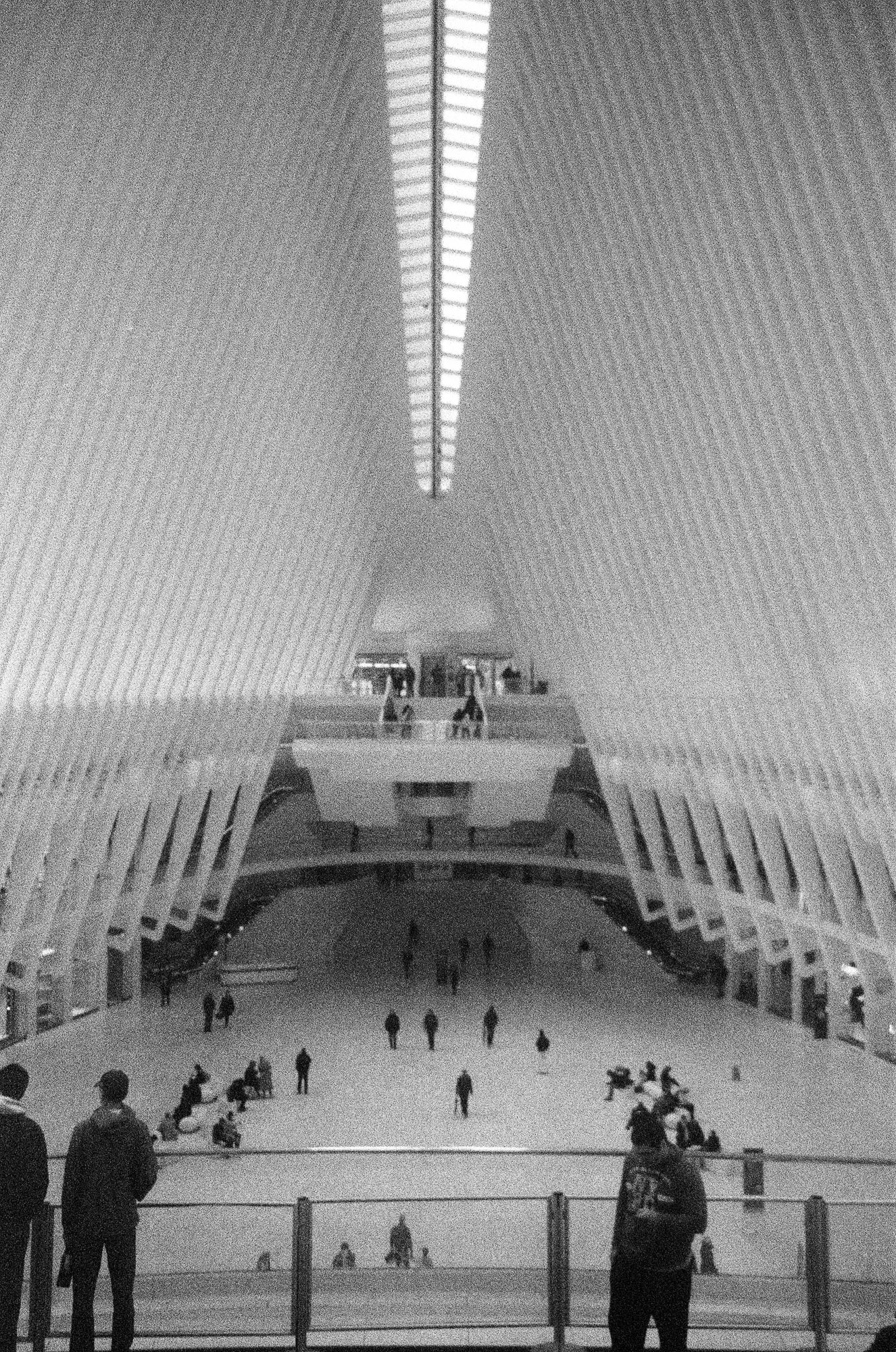 2024, photo 13