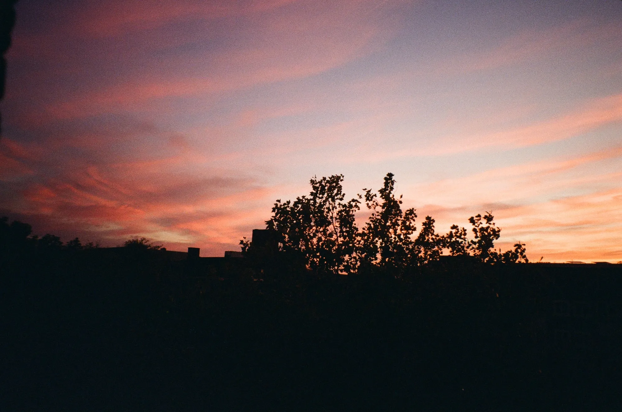 2025, photo 25