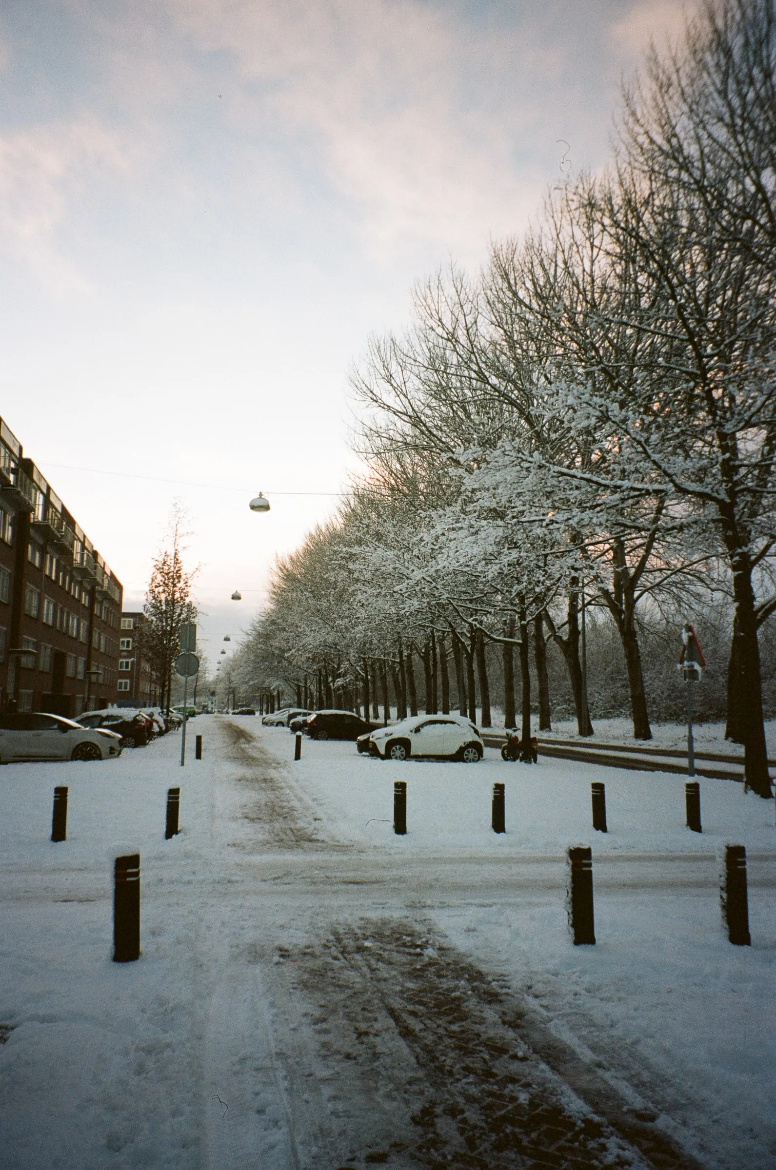 Photo from Amsterdam, NL