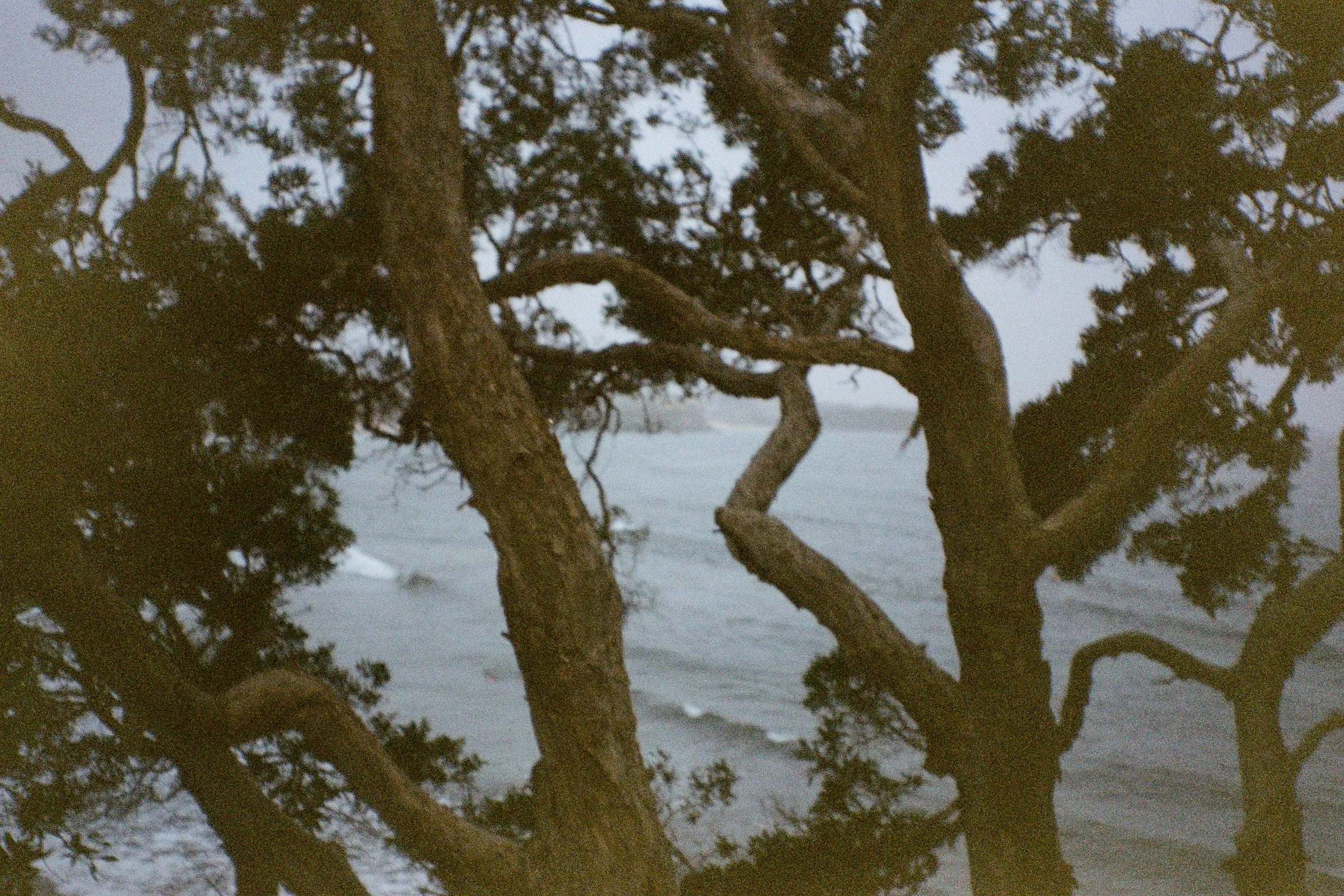 Photo from Sydney, AU