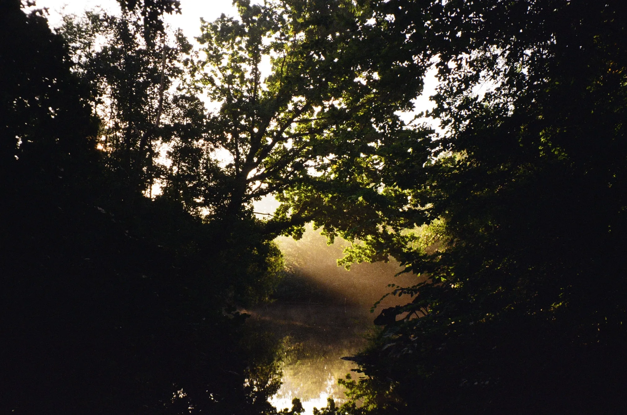 Amsterdam, 2025, photo 6